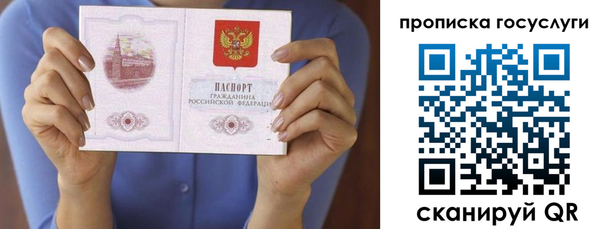 временная регистрация поиск в Белореченске